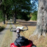 1609F 179 Ulmen-Allee